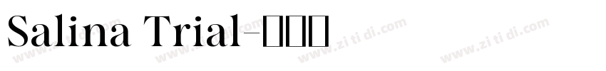 Salina Trial字体转换